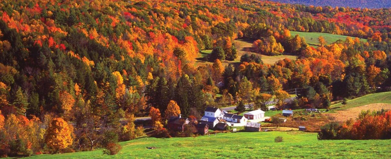 Charming 120-Year-Old Farmhouse By The Creek. Starlight Bagian luar foto